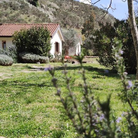 Taverna Centomani Potenza Kültér fotó