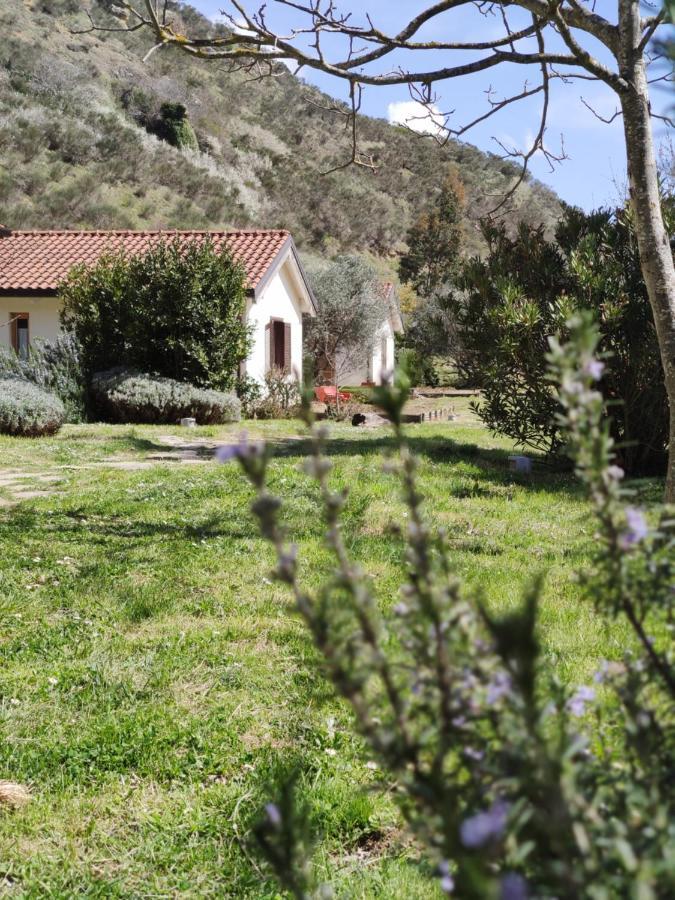 Taverna Centomani Potenza Kültér fotó